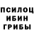 Галлюциногенные грибы прущие грибы Ash Wing