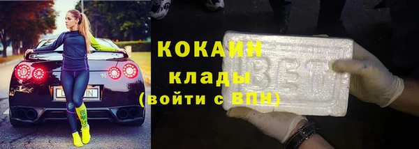 прущие грибы Зеленокумск