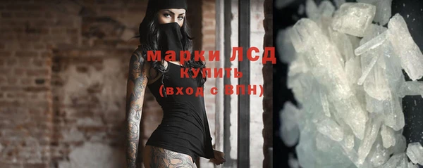 прущие грибы Зеленокумск