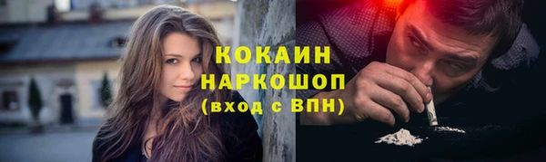 прущие грибы Зеленокумск