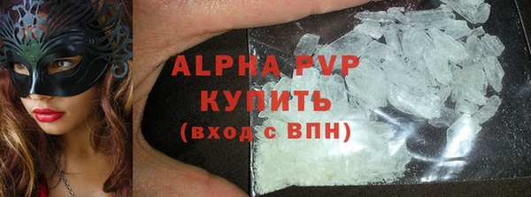 прущие грибы Зеленокумск