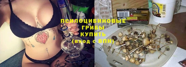 соль курить ск Иноземцево