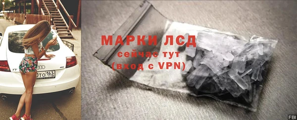 прущие грибы Зеленокумск