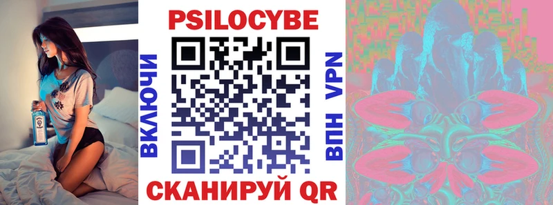 Псилоцибиновые грибы Psilocybe Урень
